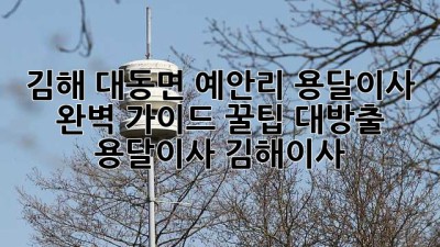 김해 대동면 예안리 용달이사 🚚 완벽 가이드: 꿀팁 대방출! #용달이사 #김해이사