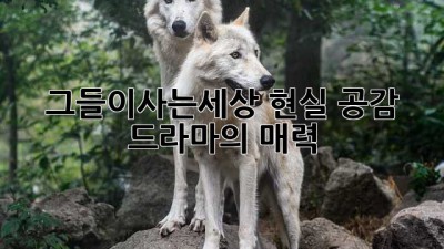 그들이사는세상, 현실 공감 드라마의 매력✨