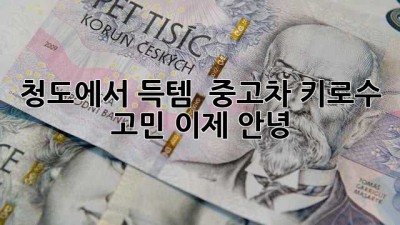 청도에서 득템?! ✨ 중고차 키로수 고민, 이제 안녕! 🚗💨