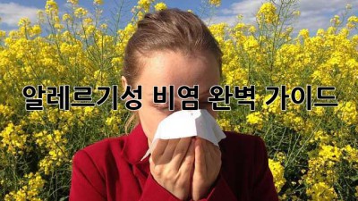 알레르기성 비염 완벽 가이드